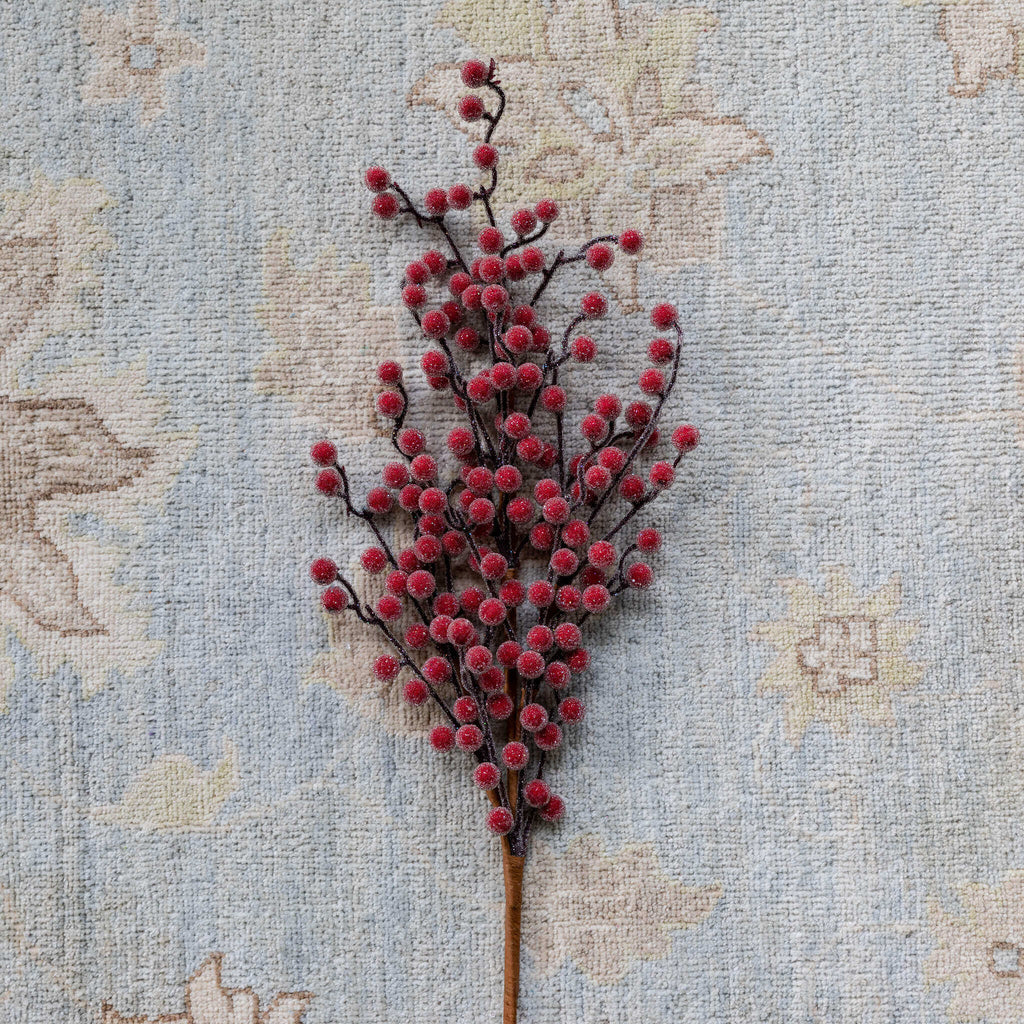 Kit 12  Palhetas Frutas Vermelhas