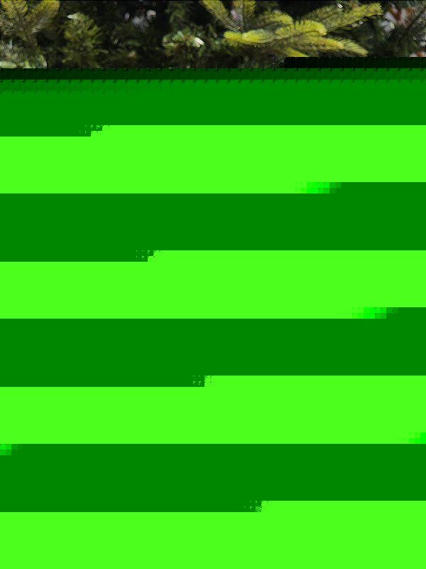 PRESÉPIO DE RESINA LUXO 11 PÇS - 20CM